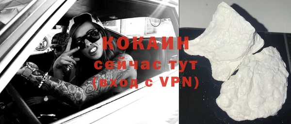 ПСИЛОЦИБИНОВЫЕ ГРИБЫ Заволжье