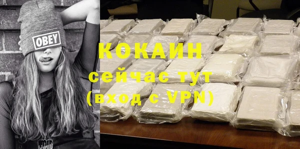 ПСИЛОЦИБИНОВЫЕ ГРИБЫ Осинники