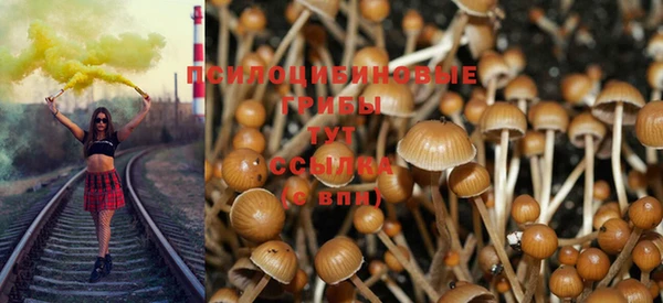 спиды Елизово