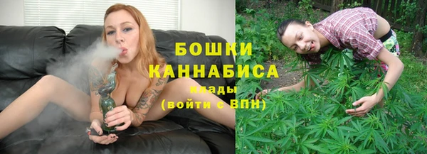 a pvp Ельня