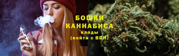 ПСИЛОЦИБИНОВЫЕ ГРИБЫ Осинники