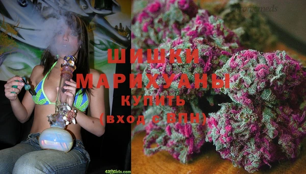 a pvp Ельня