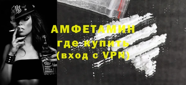 ПСИЛОЦИБИНОВЫЕ ГРИБЫ Осинники