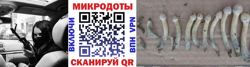 Псилоцибиновые грибы прущие грибы  Светлый 
